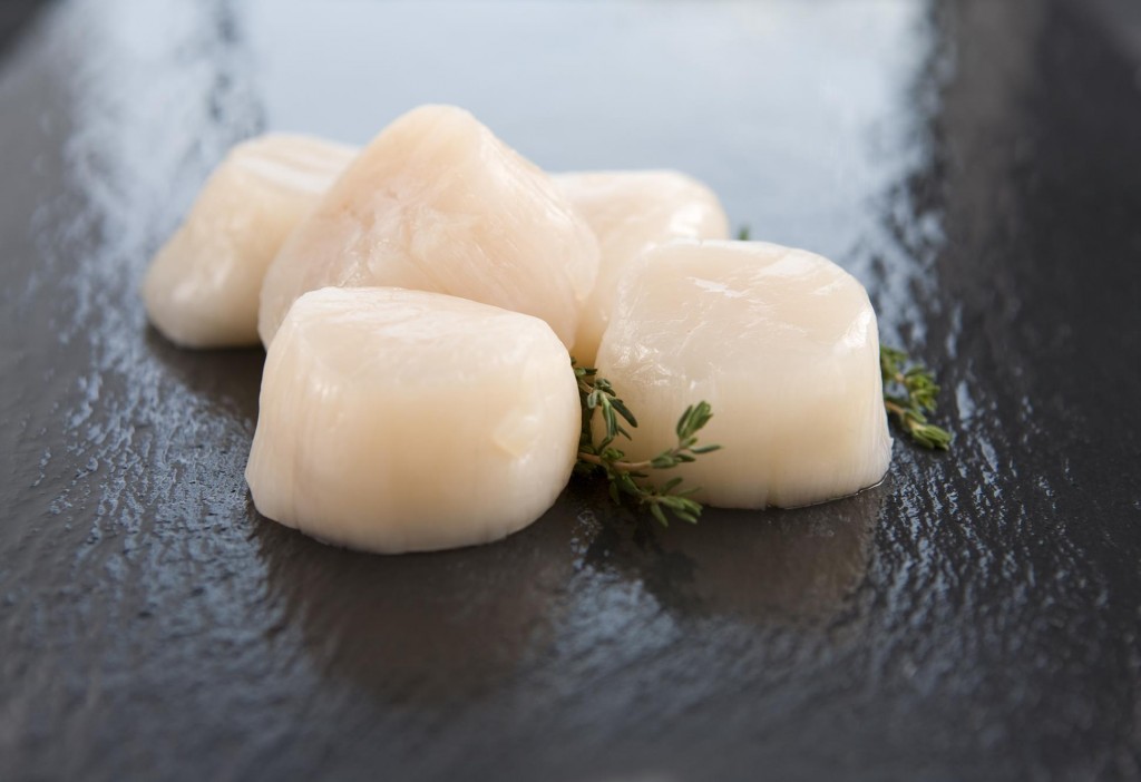 Fresh Scallop Meat 22-40/kg